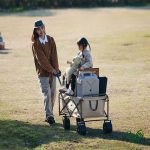 چرخ‌دستی نیچرهایک مدل CNK2350JJ012