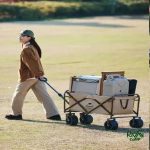 چرخ‌ دستی تاشو نیچرهایک مدل NH19PJ001