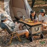 چرخ‌ دستی تاشو نیچرهایک مدل NH19PJ001