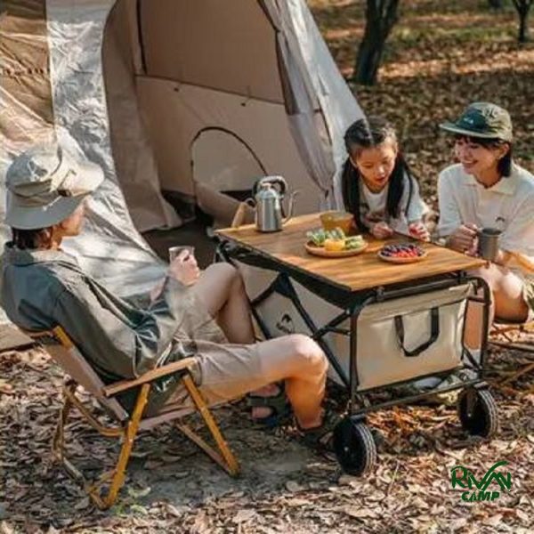 چرخ‌ دستی تاشو نیچرهایک مدل NH19PJ001