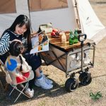 چرخ‌ دستی تاشو نیچرهایک مدل NH19PJ001