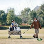 چرخ‌ دستی تاشو نیچرهایک مدل NH19PJ001