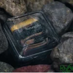 قابلیت های هدلامپ نیچرهایک CNK2300DQ016