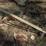 ظاهر طناب باد چادر 30 متری نیچرهایک مدل NH20PJ122