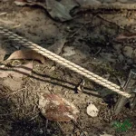 ویژگی های طناب باد چادر 20 متری نیچرهایک مدل NH20PJ122