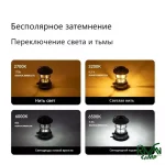 حالت نوردهی چراغ کمپینگ مینی رترو بلک داگ مدل CBD2450ZM021