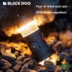 روشنایی بالای چراغ ماژولار چندکاره بلک داگ مدل CBD2450ZM020