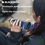 اسپیکر بلوتوثی چراغ ماژولار چندکاره بلک داگ مدل CBD2450ZM020