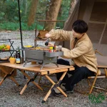 گریل باربیکیو نیچرهایک مدل CNH22CJ016