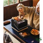 کاربرد گریل رومیزی زغالی نیچرهایک مدل CNK2300CF010