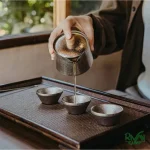 ست چای‌خوری تیتانیومی برند نیچرهایک مدل CNK2450CF025