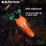 چراغ‌ آویز طرح جو هویج بلک داگ مدل CBD2450ZM014