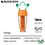 چراغ‌ آویز طرح جو هویج بلک داگ مدل CBD2450ZM014