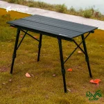 میز کمپینگ آلومینیومی قابل تنظیم چانوداگ مدل FX-8229-B