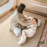 زیرانداز بادی 2 نفره نیچرهایک مدل CNK2300WS012