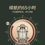 ابعاد چراغ آویز نیچرهایک مدل NH21ZM010