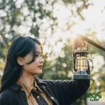 رنگ نور چراغ آویز نیچرهایک مدل NH21ZM010