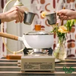 اجاق گاز نیچرهایک مدل CNH22CJ008