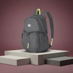 کوله پشتی مسافرتی